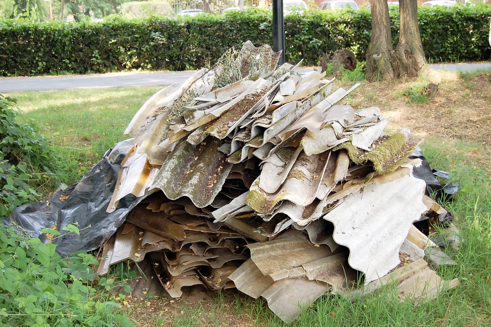 asbestos specialists Stirling